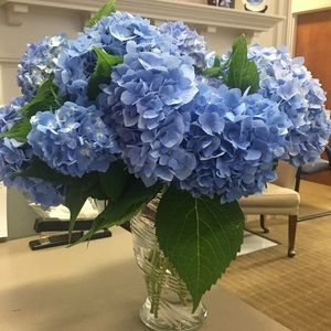 Meet your Posher, Valerie